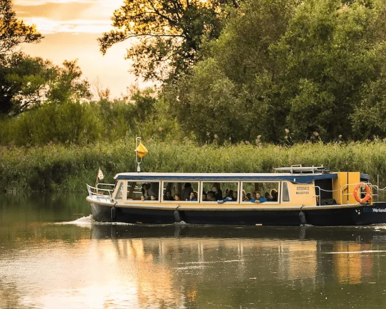 Nationaal Park De Biesbosch