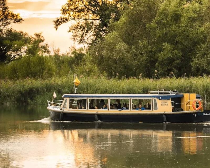 Nationaal Park De Biesbosch